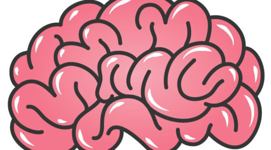 Ditch These 6 Brain Myths